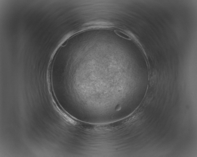 X0000054401243200508011314