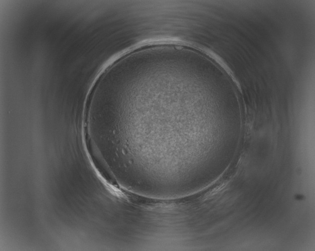 X0000054401245200508011314