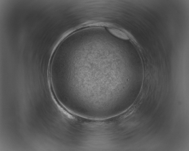 X0000054401247200508011314