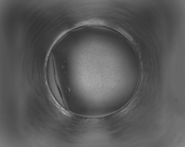 X0000054401248200508011314