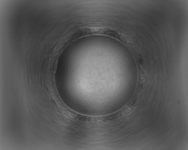 X0000054401249200508011313