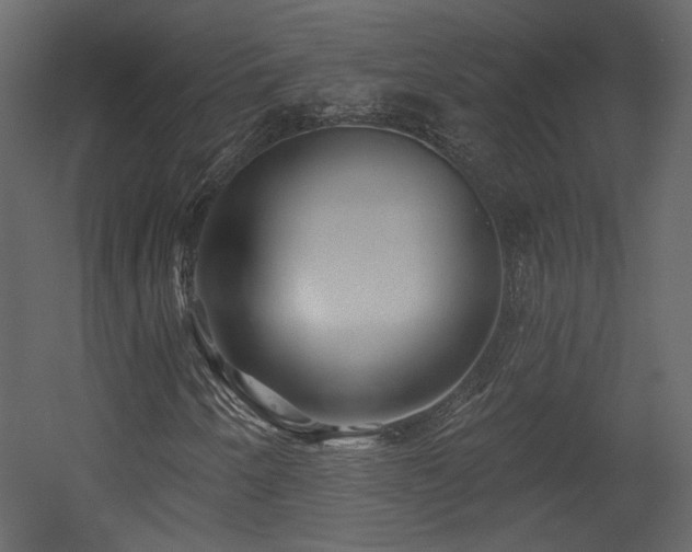 X0000054401250200508011313