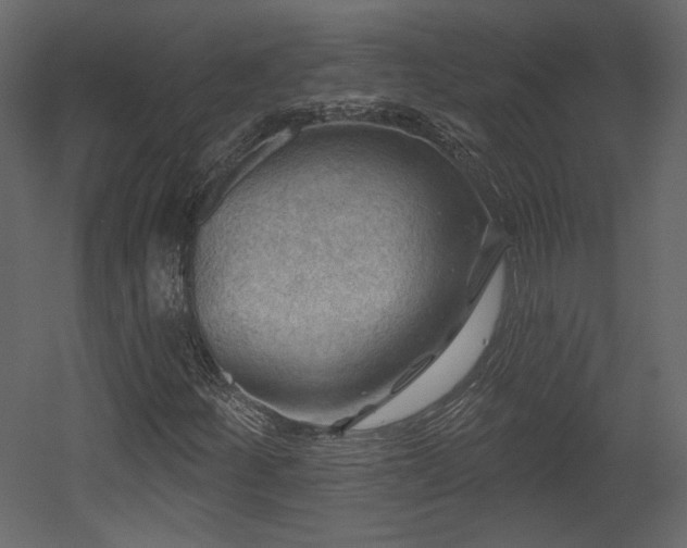 X0000054401252200508011313