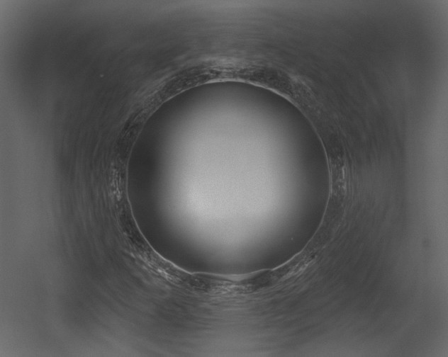 X0000054401253200508011313