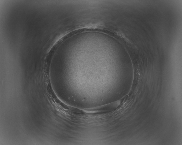 X0000054401256200508011313