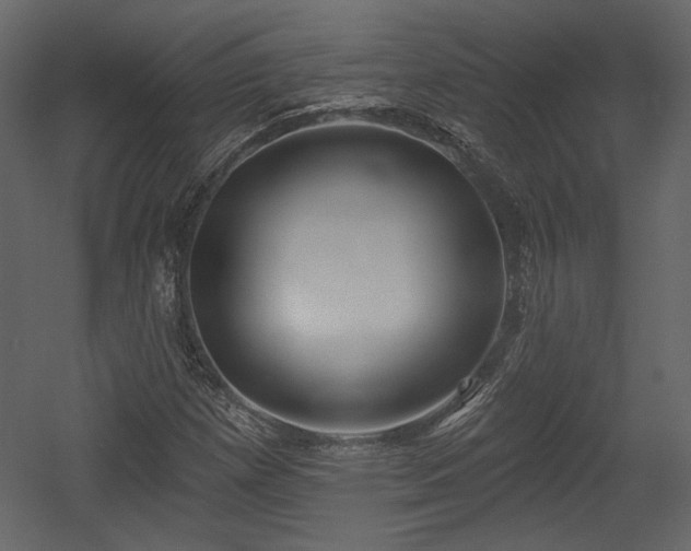 X0000054401257200508011313