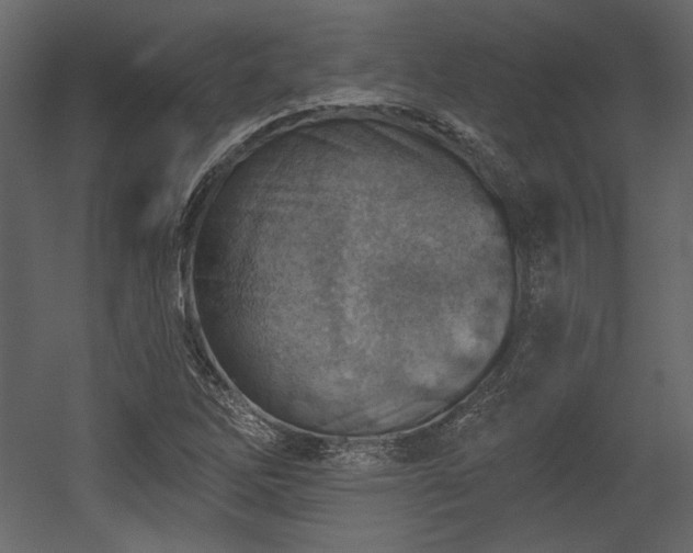 X0000054401262200508011313