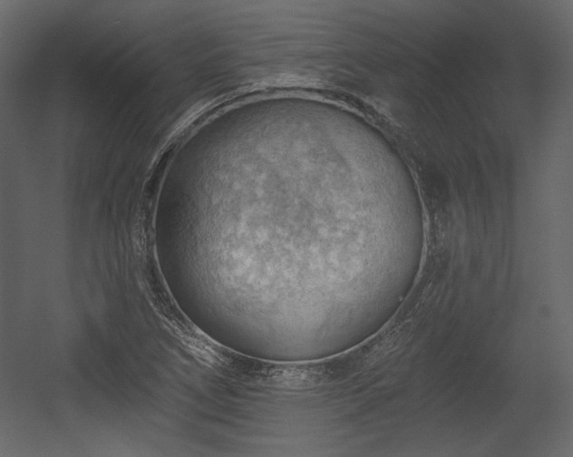 X0000054401266200508011313