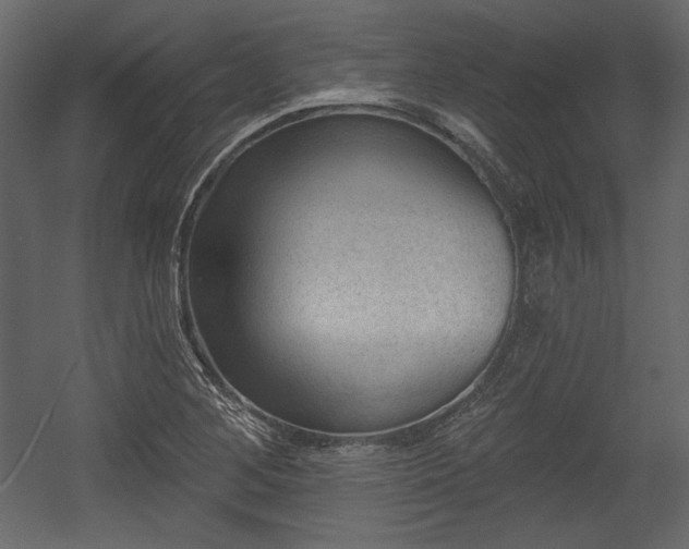 X0000054401268200508011313