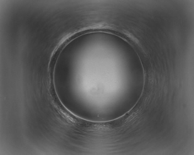 X0000054401270200508011313