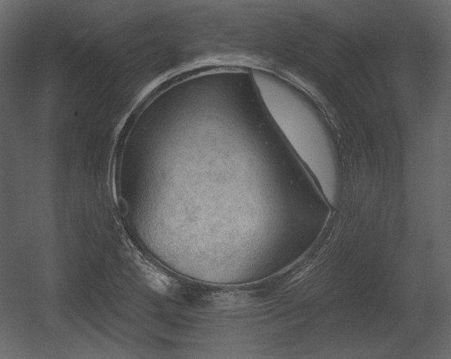 X0000054401272200508011313