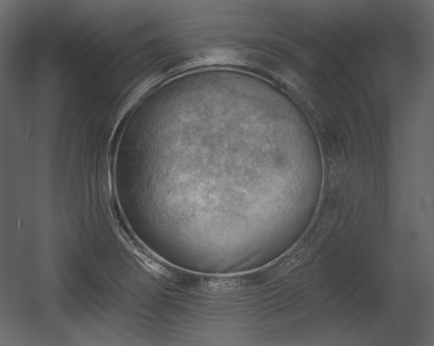 X0000054401274200508011313