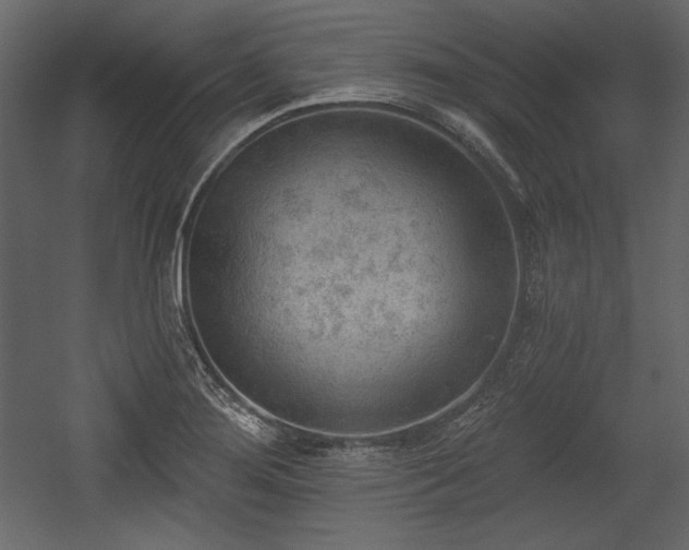 X0000054401276200508011313