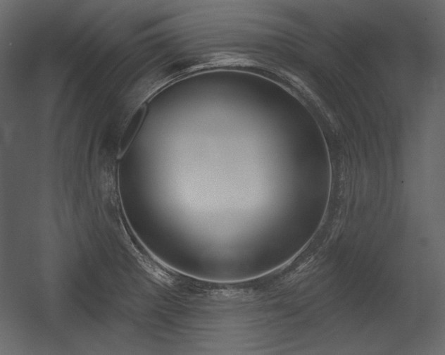 X0000054401281200508011313