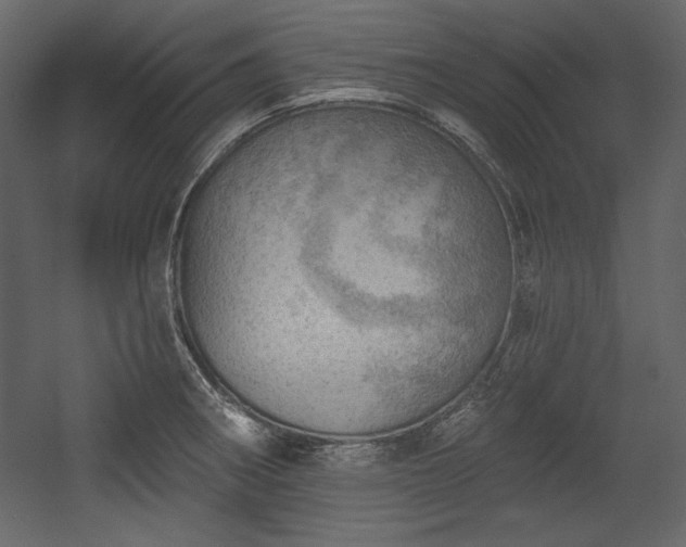 X0000054401282200508011313