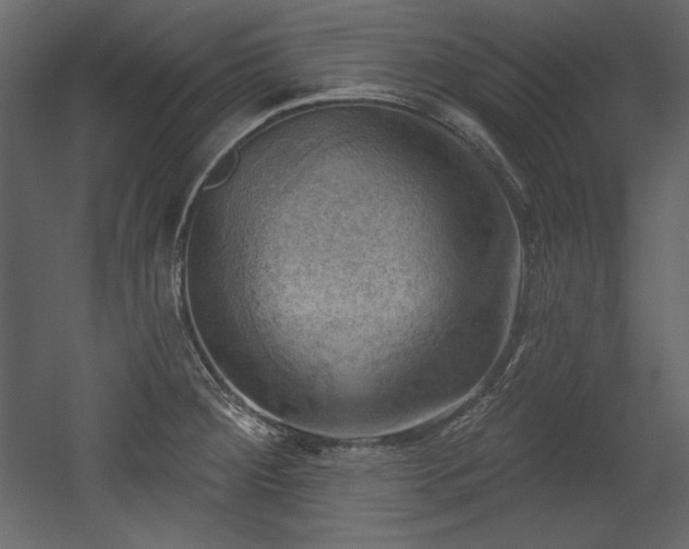 X0000054401284200508011313