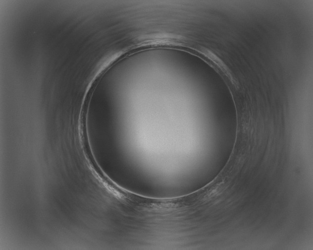 X0000054401285200508011313