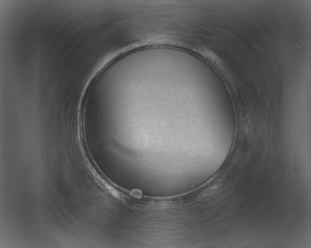 X0000054401286200508011313