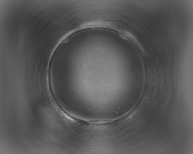 X0000054401288200508011313