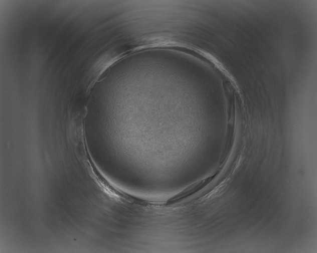 X0000054401289200508011313