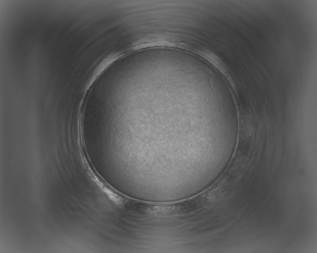 X0000054401290200508011313
