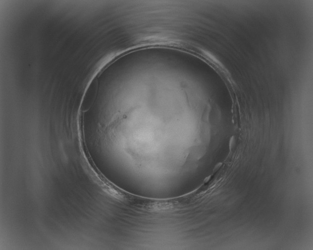 X0000054401291200508011312