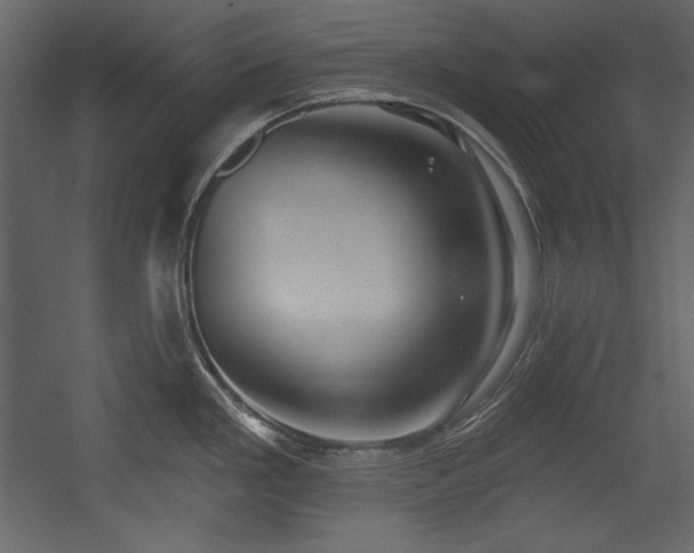 X0000054401293200508011312