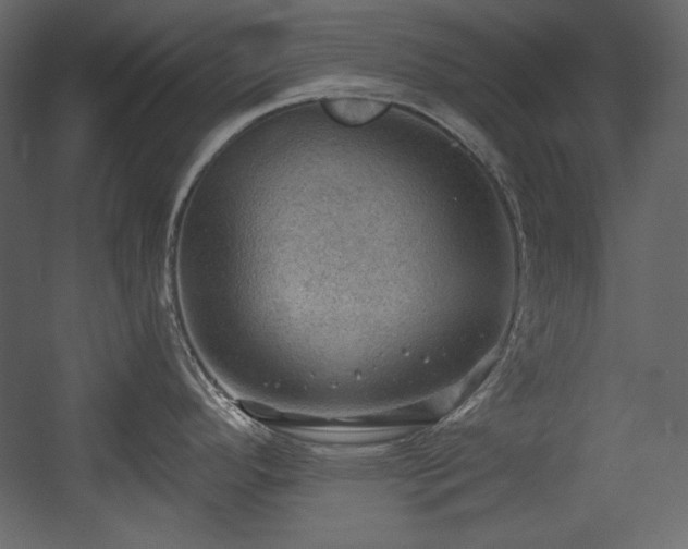 X0000054401296200508011312
