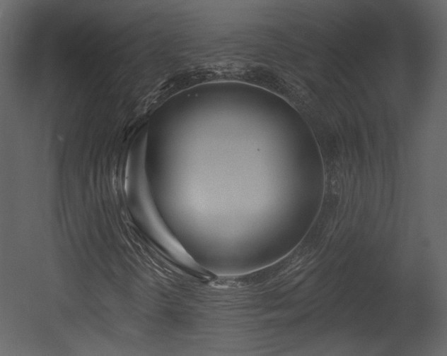 X0000054401298200508011312