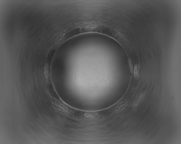 X0000054401299200508011312