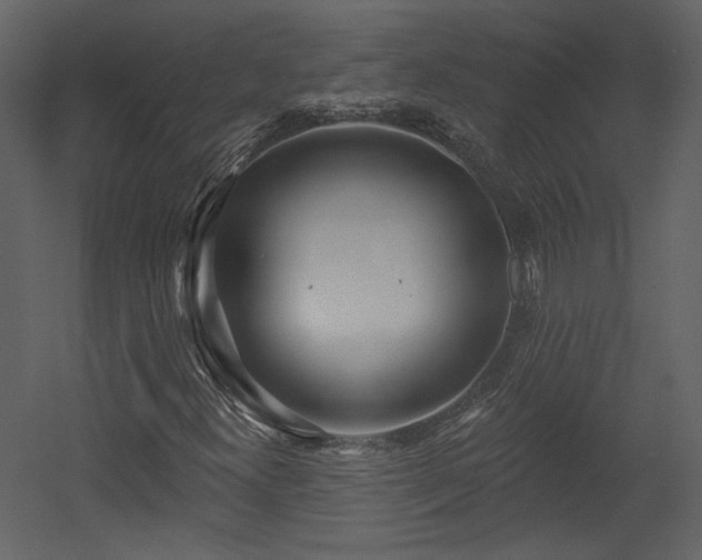 X0000054401300200508011312