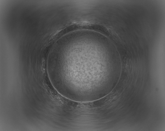 X0000054401301200508011312