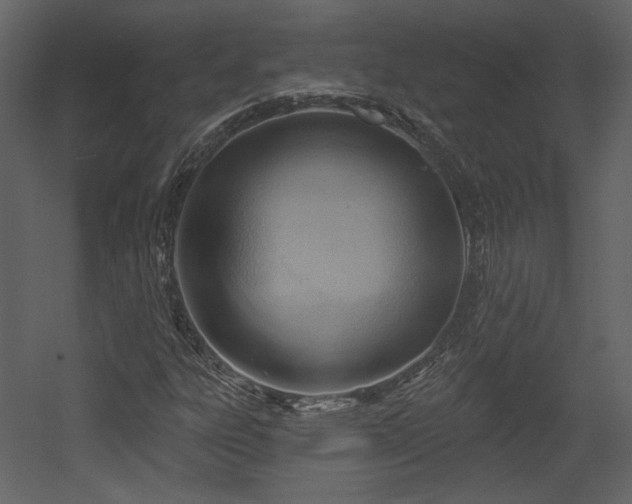 X0000054401303200508011312