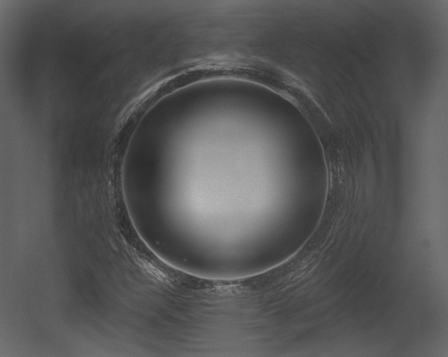 X0000054401304200508011312