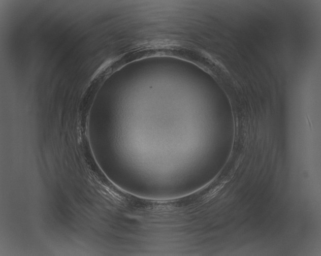 X0000054401306200508011312
