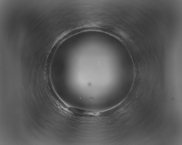 X0000054401308200508011312