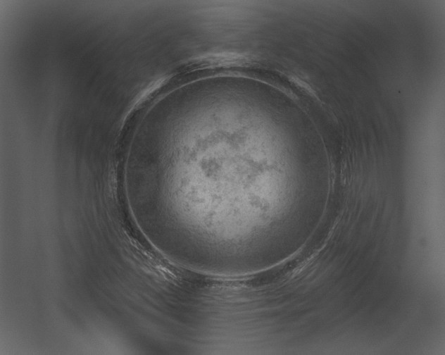 X0000054401309200508011312