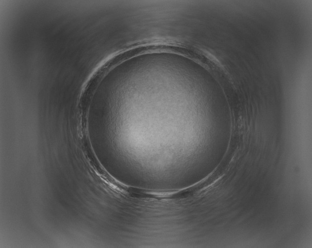 X0000054401310200508011312