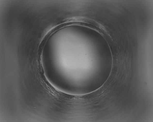 X0000054401312200508011312