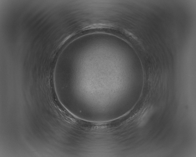 X0000054401313200508011312