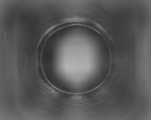 X0000054401315200508011312