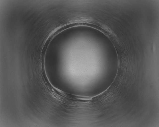 X0000054401316200508011312