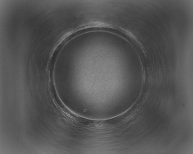 X0000054401318200508011312