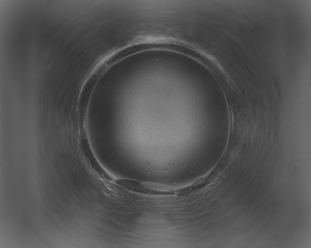 X0000054401319200508011312