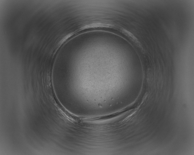 X0000054401321200508011312