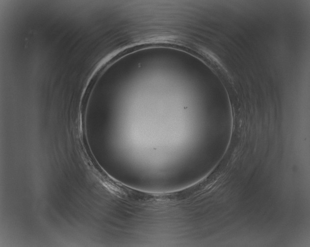 X0000054401324200508011312