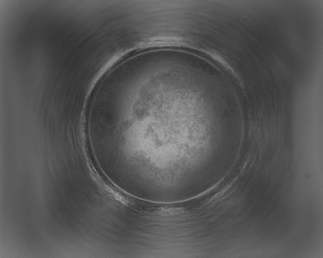 X0000054401325200508011312