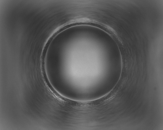 X0000054401326200508011312