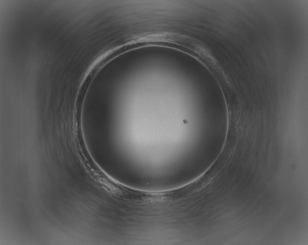 X0000054401328200508011312