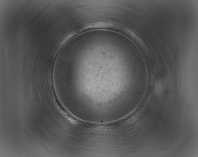 X0000054401329200508011312